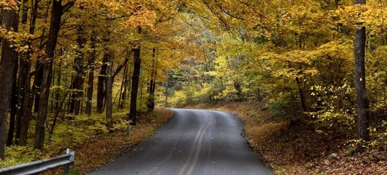 A road in a national park in MD