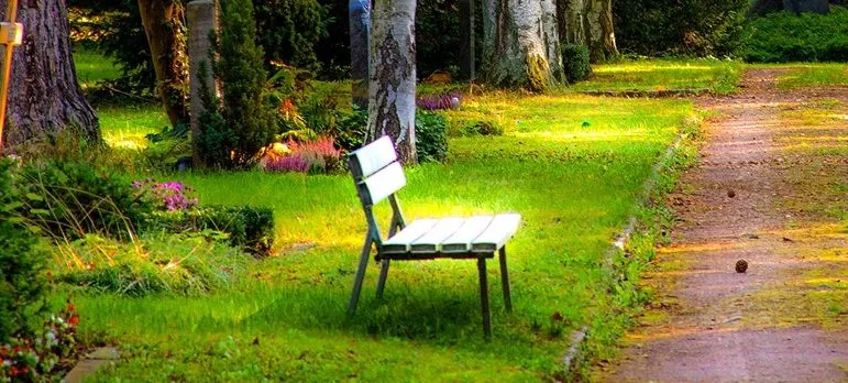green park and a bench