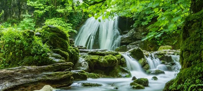 waterfall and streams