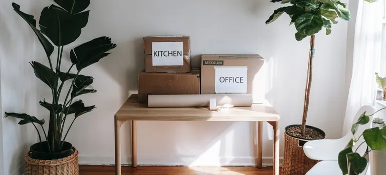 plants next to the table with boxes on it