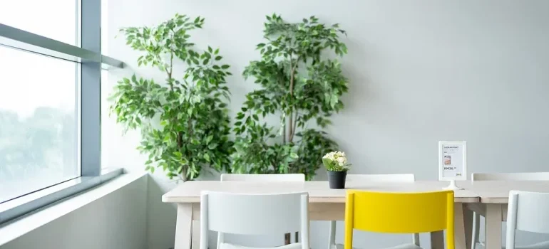 A room with a table, chairs, and some plants