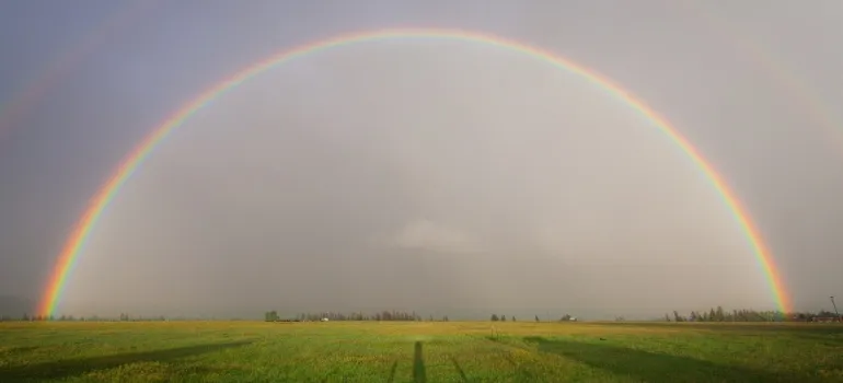 A rainbow in the sky above the meadow.