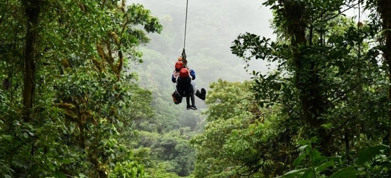 zip line in forest is one of the fun things to do in montgomery county