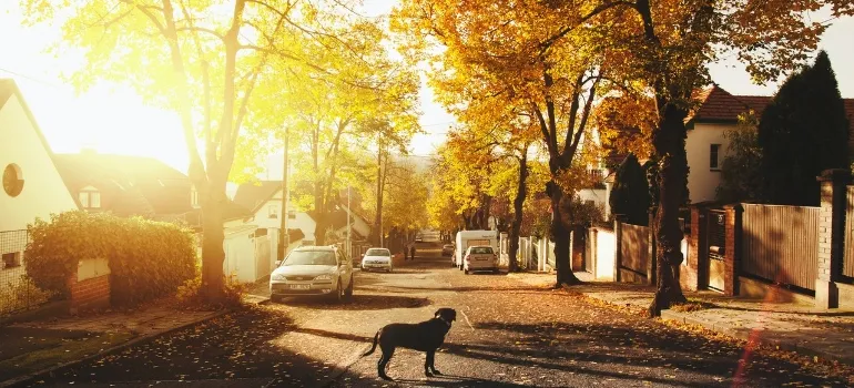neighborhood in one of the best cities in Virginia for expats