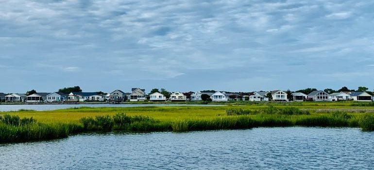 Rockville MD landscape