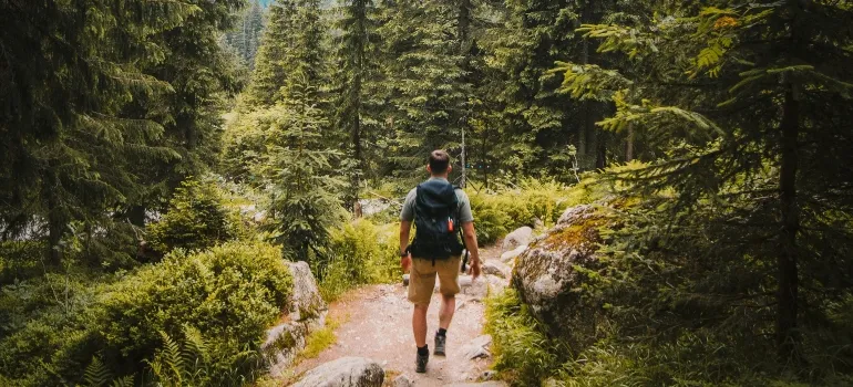 ,man walking in the woods