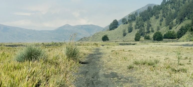 pathway on mountain area
