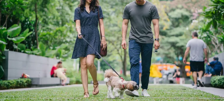 people walking their dog