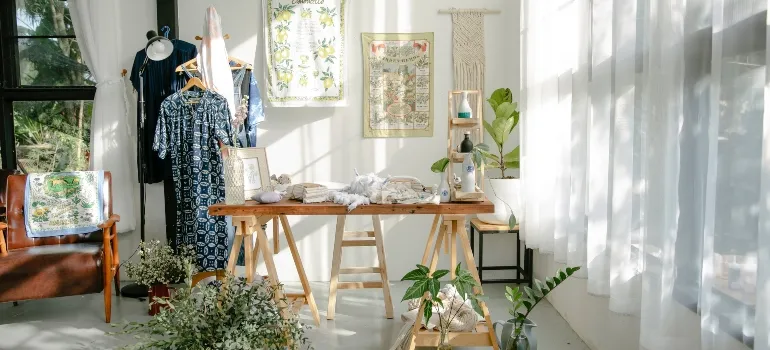 plants in the living room are one of the things you should never move long distance