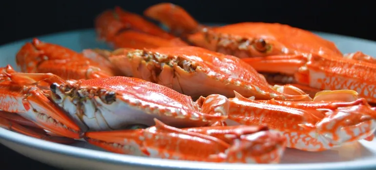 Crabs on a plate