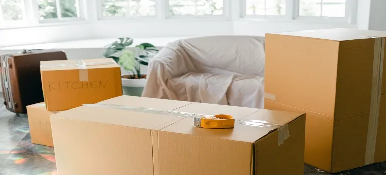 Pack before your Washington movers arrive, put all of your belongings in boxes