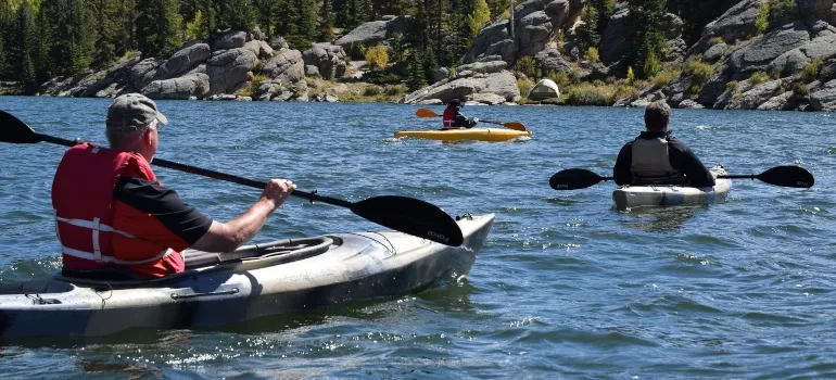 People canoeing on a river