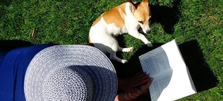 a person walking a dog in one of the Places in Maryland dog owners move to