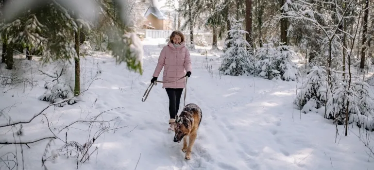 a girl walking her dog during winter