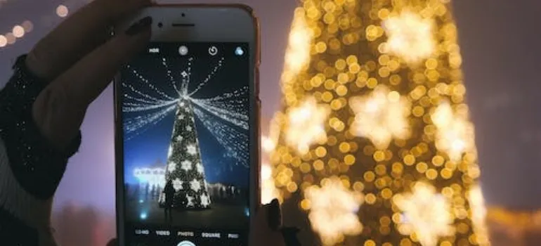 National Christmas tree as one of the ways to spend your first Christmas in Washington