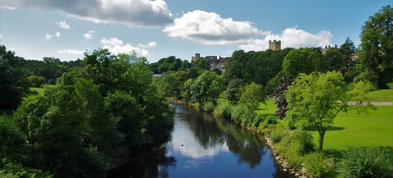 The green trees beside river