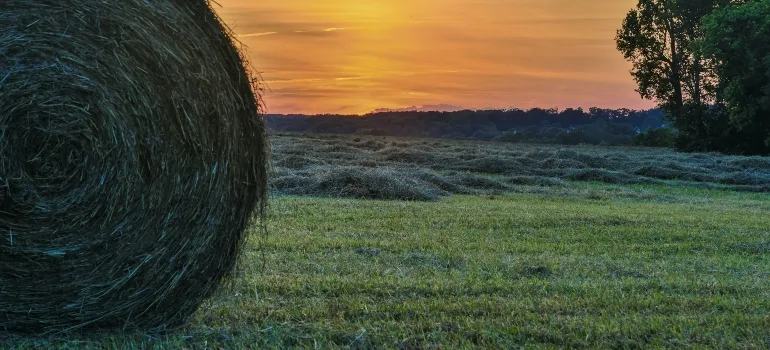 Place you must visit after relocating to Maryland