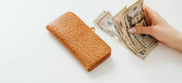wallet and money