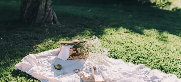 picnic basket