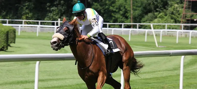 a person who knows how to embrace the Maryland lifestyle when moving from DC and is riding a horse