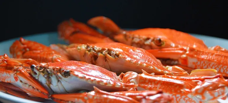 crabs on a plate