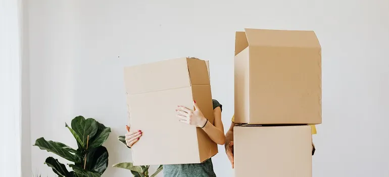 people holding moving boxes