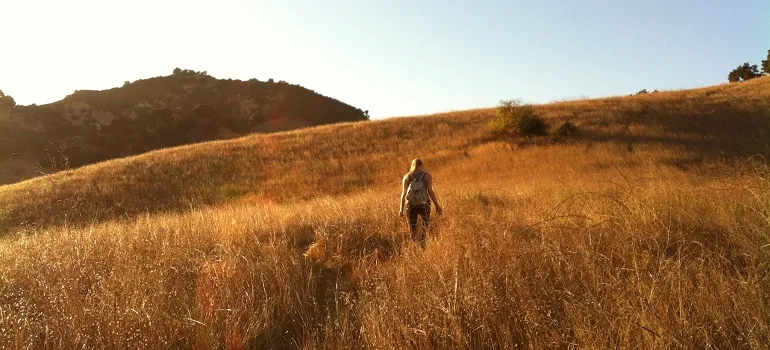 a person walking in a field