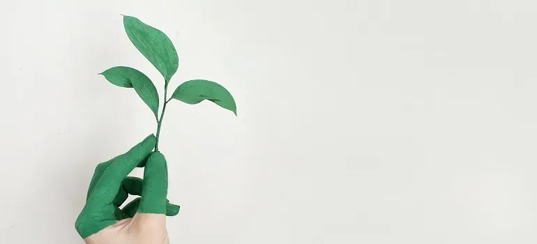 eco friendly traditions