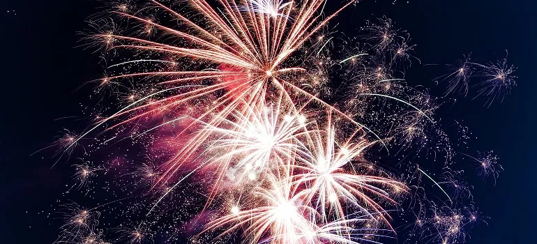 fireworks in the sky