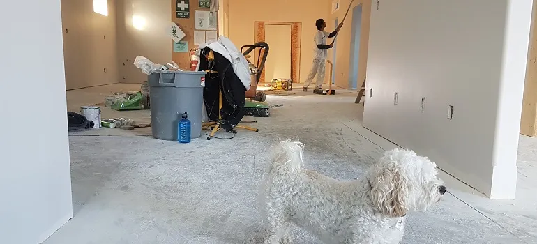 a dog in a new home exploring it