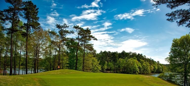 a park with green grass
