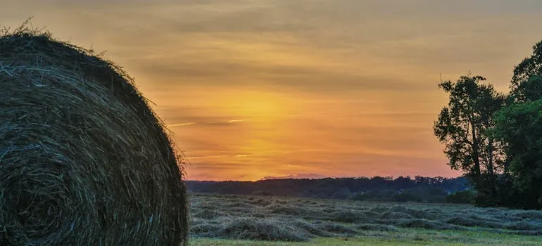 Nature in Maryland you can enjoy when adjusting to life in Olney after moving from Clarksburg.