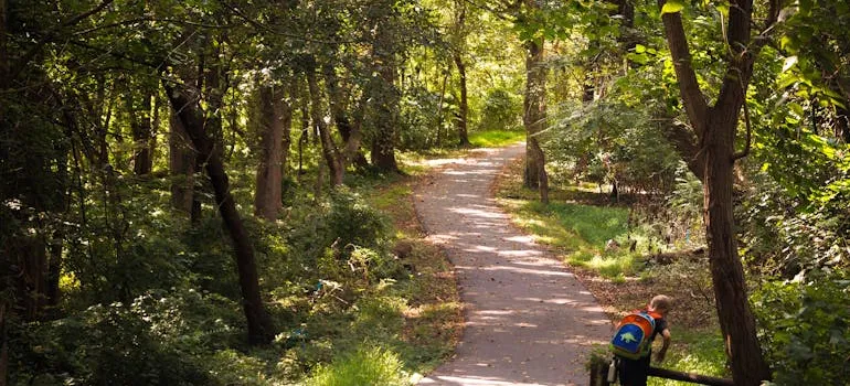 A nice trail in Bethesda