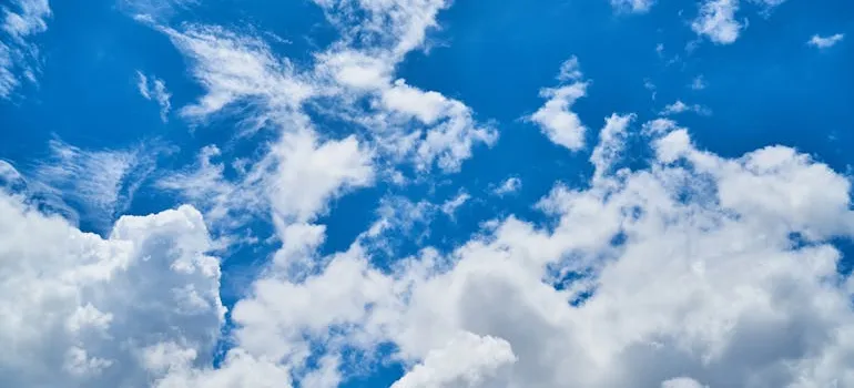 The sky full of clouds.